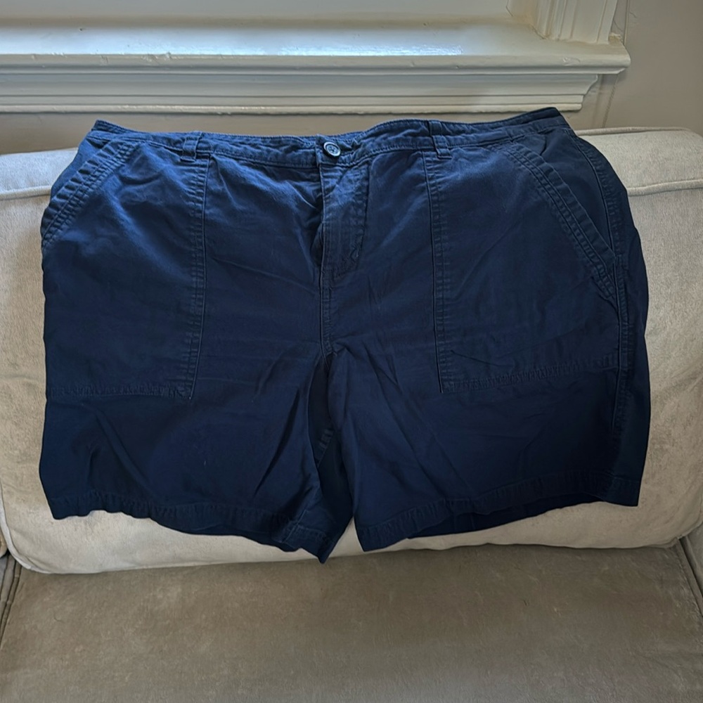 Patagonia Shorts